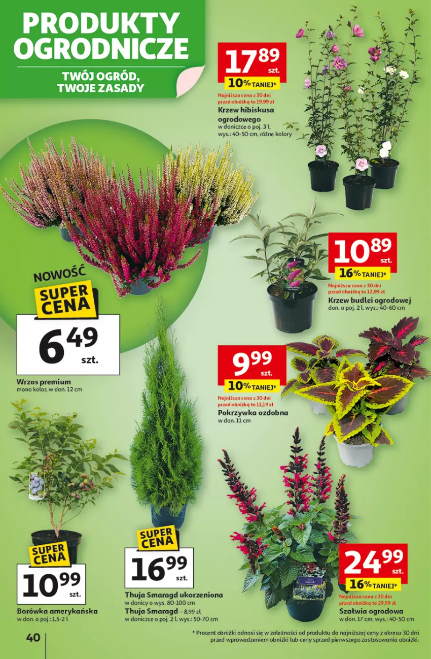 Gazetka promocyjna Auchan - Odlotowe ceny na start szkoły Hipermarket - ważna 28.08 do 03.09.2025 - strona 40 - produkty: Borówka, Borówka amerykańska, Hibiskus