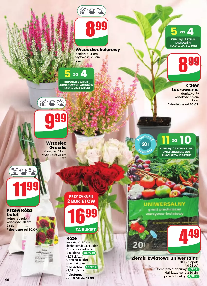 Gazetka promocyjna Dino - Gazetka 37 / 2026 - ważna 09.09 do 15.09.2026 - strona 56 - produkty: Bukiet, Gra, Laur, Róża, Sok