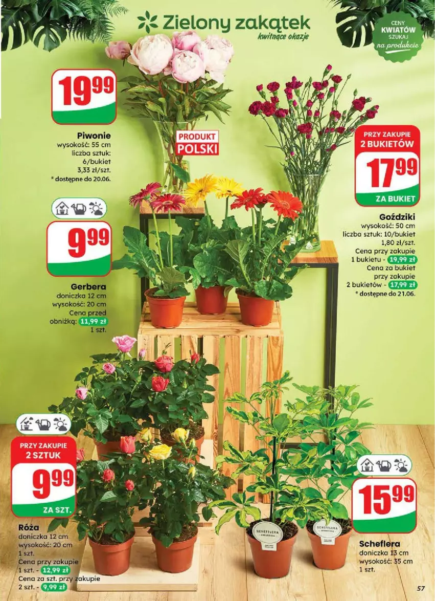 Gazetka promocyjna Dino - ważna 18.06 do 24.06.2025 - strona 53 - produkty: Bukiet, Piwo, Róża, Sok