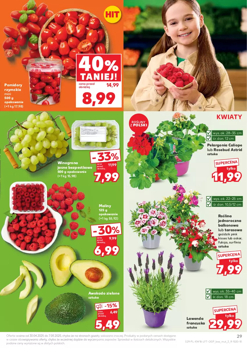 Gazetka promocyjna Kaufland - Gazetka tygodnia - ważna 30.04 do 07.05.2025 - strona 29 - produkty: Astrid, Maliny, Pomidory, Surf, Wino, Winogrona