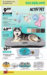 Gazetka promocyjna Biedronka - Okazje Tygodnia - Gazetka - ważna od 25.01 do 25.01.2025 - strona 38 - produkty: Gry, Zabawka, Podkładka, Miska, Podkład