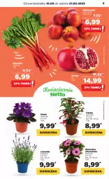 Gazetka promocyjna Netto - Gazetka spożywcza - Gazetka - ważna od 21.05 do 21.05.2022 - strona 5 - produkty: Gra, Granat, Kosz, Nektarynka, Nektar