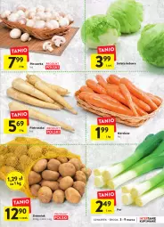 Gazetka promocyjna Intermarche - Gazetka - ważna od 09.03 do 09.03.2022 - strona 9 - produkty: Piec, Por, Pietruszka, Sałata lodowa, Sałat, Pieczarka