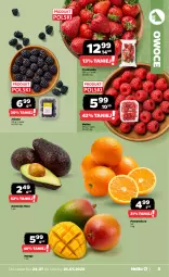 Gazetka promocyjna Netto - Od Czwartku - Gazetka - ważna od 26.07 do 26.07.2025 - strona 5 - produkty: Owoce, Mango