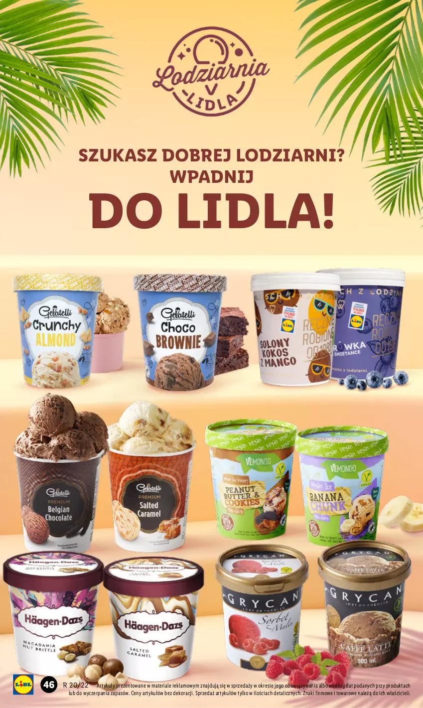 Gazetka promocyjna Lidl - GAZETKA - ważna 16.05 do 18.05.2022 - strona 46