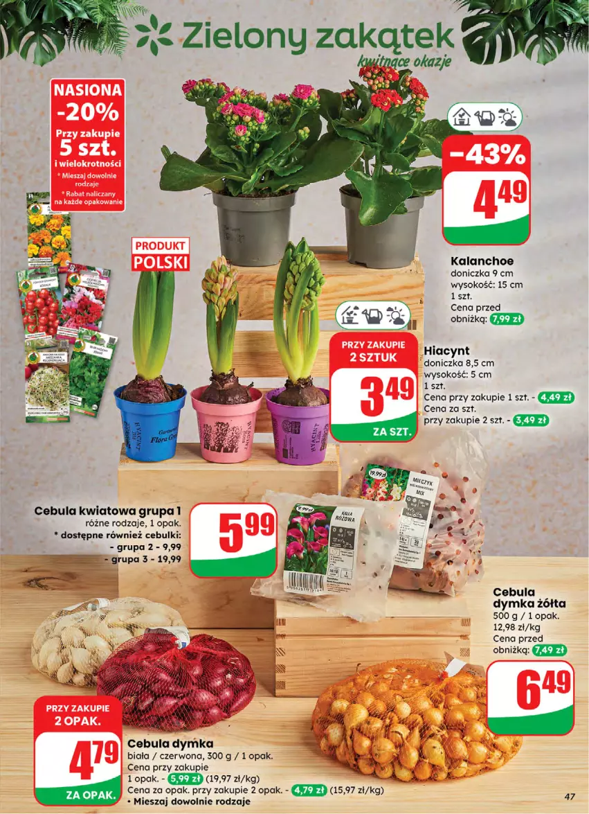 Gazetka promocyjna Dino - Gazetka 05 / 2026 - ważna 28.01 do 03.02.2026 - strona 47 - produkty: Cebula, Hiacynt, Kalanchoe, Sok