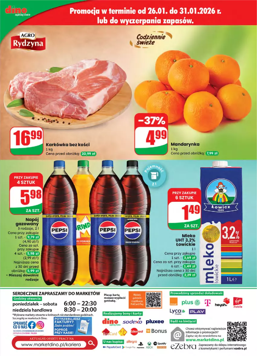 Gazetka promocyjna Dino - Gazetka 05 / 2026 - ważna 28.01 do 03.02.2026 - strona 61 - produkty: Allegro, Napój, Napój gazowany, Perfum, Ser, Tera, Xbox