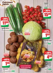 Gazetka promocyjna Dino - Gazetka 05 / 2026 - Gazetka - ważna od 03.02 do 03.02.2026 - strona 27 - produkty: Buraczki