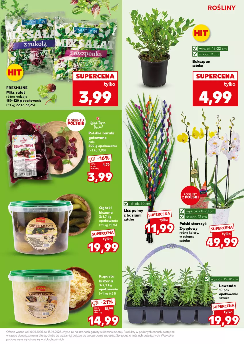Gazetka promocyjna Kaufland - Mocny Start - ważna 14.04 do 15.04.2025 - strona 15 - produkty: Grunt, Sałat, Storczyk, Szyny