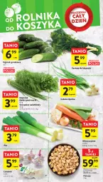 Gazetka promocyjna Intermarche - Gazetka Intermarche - Gazetka - ważna od 31.05 do 31.05.2023 - strona 16 - produkty: Cebula, Por, Ogórek, Czosnek, Sałat, Natka pietruszki, Grunt