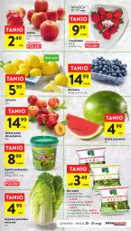 Gazetka promocyjna Intermarche - Gazetka Intermarche - Gazetka - ważna od 31.05 do 31.05.2023 - strona 17 - produkty: Por, Borówka, Sałat, Nektarynka, Arbuz, Nektar, Szpinak