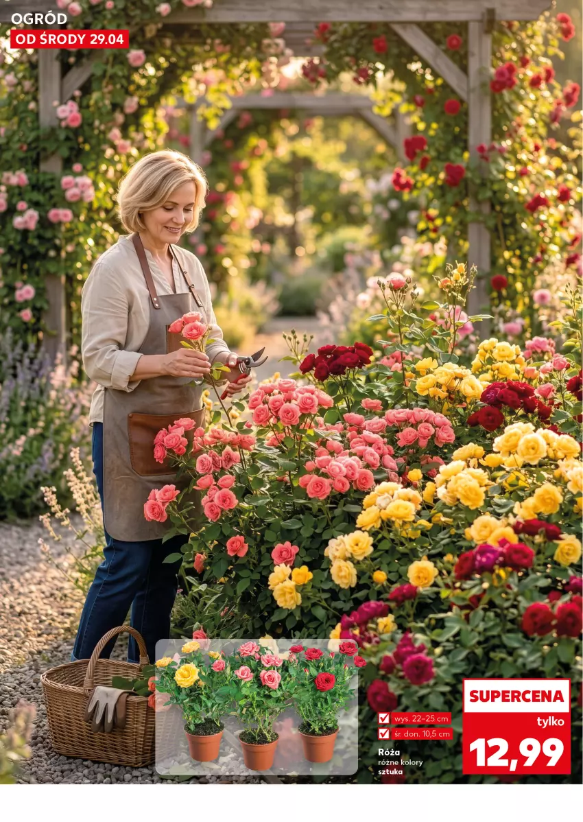 Gazetka promocyjna Kaufland - Kaufland - ważna 29.04 do 06.05.2026 - strona 10