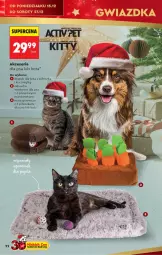 Gazetka promocyjna Biedronka - Okazje Tygodnia - Gazetka - ważna od 27.12 do 27.12.2025 - strona 22 - produkty: Mata grzewcza, Marchewka, Koc, Zabawka, Drapak