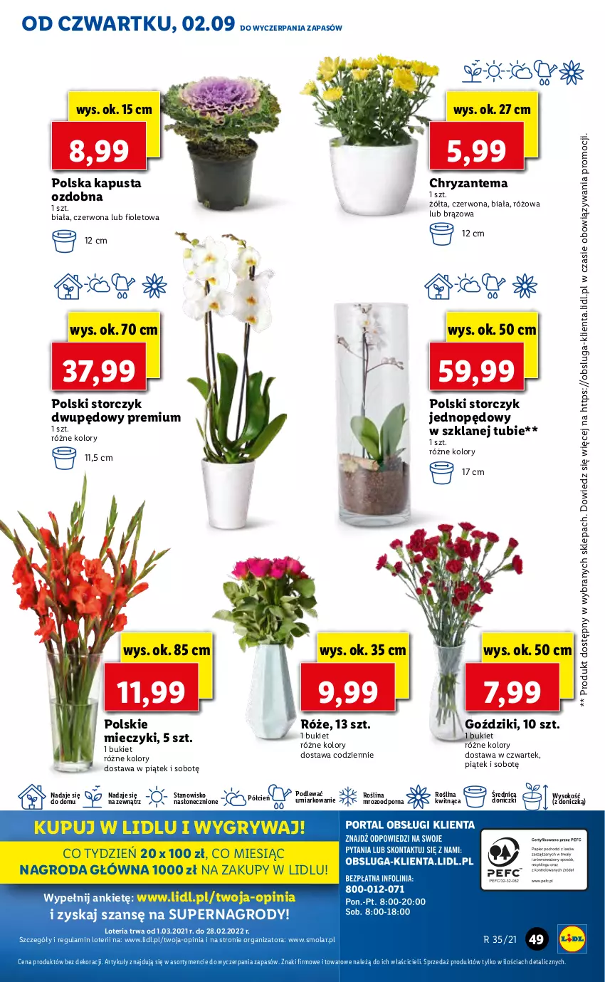 Gazetka promocyjna Lidl - GAZETKA - ważna 02.09 do 05.09.2021 - strona 49 - produkty: Bukiet, Chryzantema, Cień, Gry, Miecz, Mola, O nas, Por, Sok, Storczyk