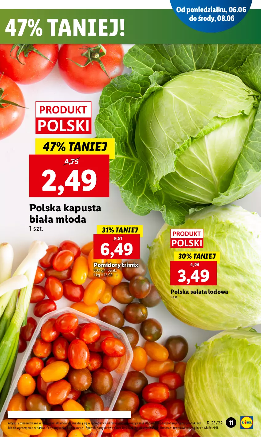 Gazetka promocyjna Lidl - GAZETKA - ważna 06.06 do 08.06.2022 - strona 11 - produkty: Pomidory, Sałat, Sałata lodowa