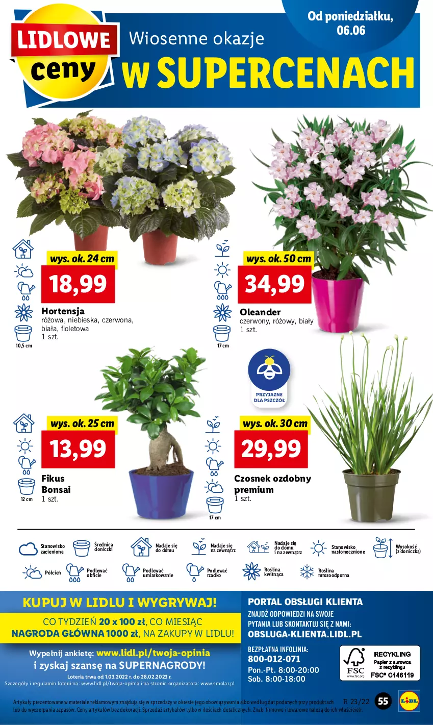 Gazetka promocyjna Lidl - GAZETKA - ważna 06.06 do 08.06.2022 - strona 55 - produkty: Cień, Czosnek, Gry, Mola, O nas, Por, Sok