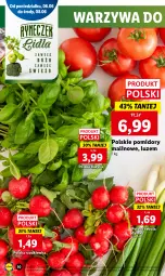 Gazetka promocyjna Lidl - GAZETKA - Gazetka - ważna od 08.06 do 08.06.2022 - strona 10 - produkty: Cebula, Warzywa, Bazyl, Bazylia, Pomidory, Rzodkiewka