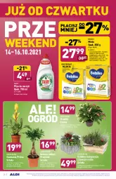 Gazetka promocyjna Aldi - Katalog spożywczy - Gazetka - ważna od 16.10 do 16.10.2021 - strona 24 - produkty: Sok, Kosz, Bebiko, Dzieci, Fairy, Mleko, Fa