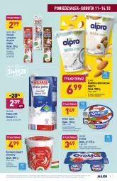 Gazetka promocyjna Aldi - Katalog spożywczy - Gazetka - ważna od 16.10 do 16.10.2021 - strona 7 - produkty: Ser, Gra, Danone, Jogurt owocowy, Jogurt, Tera, Deser, Alpro, Kokos, Mleko