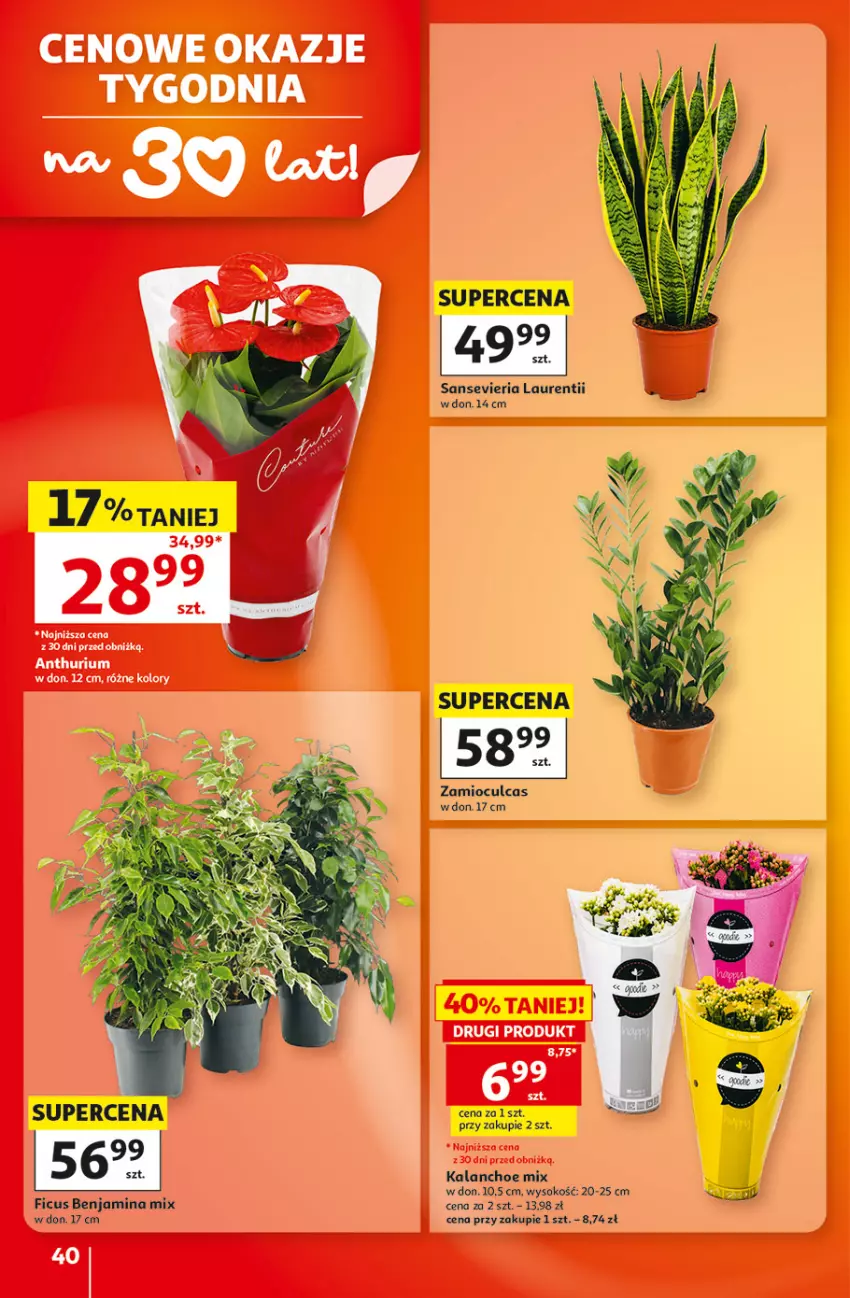 Gazetka promocyjna Auchan - 30 Lat Hipermarket - ważna 01.10 do 07.10.2026 - strona 40 - produkty: Kalanchoe, Laur, Sok