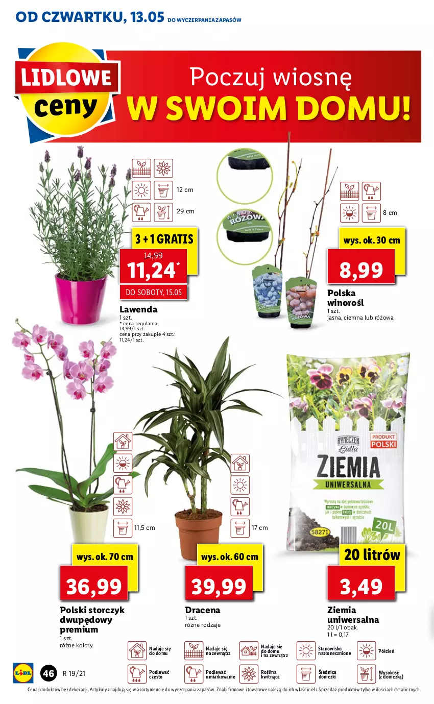 Gazetka promocyjna Lidl - GAZETKA - ważna 13.05 do 15.05.2021 - strona 46 - produkty: Cień, Gra, O nas, Sok, Storczyk, Wino