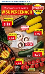 Gazetka promocyjna Lidl - GAZETKA - Gazetka - ważna od 15.05 do 15.05.2021 - strona 7 - produkty: Piec, Grill, Pomidory, Kukurydza