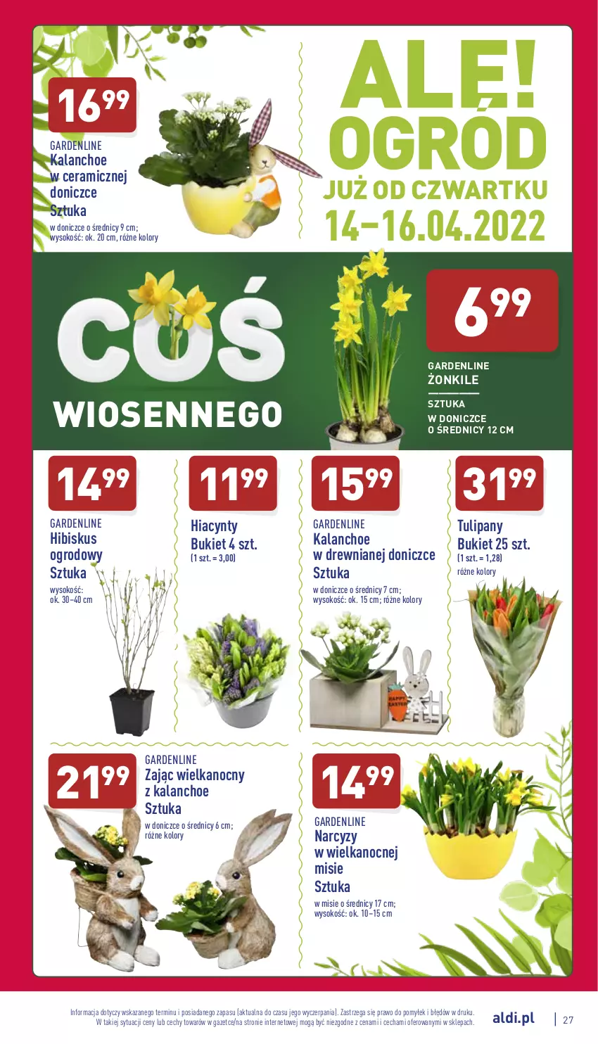 Gazetka promocyjna Aldi - Katalog spożywczy - ważna 11.04 do 16.04.2022 - strona 27 - produkty: Bukiet, Hiacynt, Hibiskus, Kalanchoe, Narcyz, Sok, Tulipan