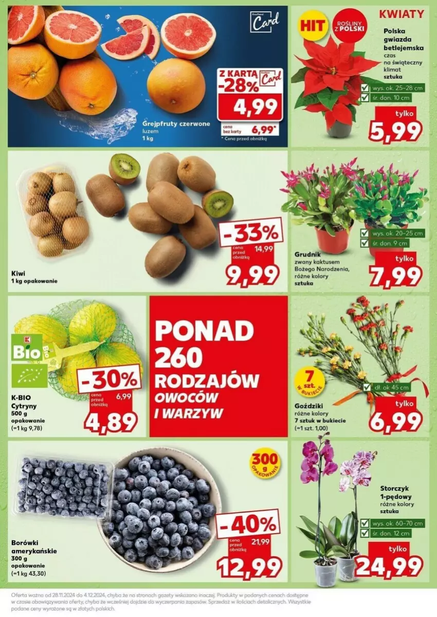 Gazetka promocyjna Kaufland - ważna 02.12 do 04.12.2024 - strona 3 - produkty: AEG, Cytryny, Grejpfrut, Gwiazda, Kaktus, Kiwi, Storczyk