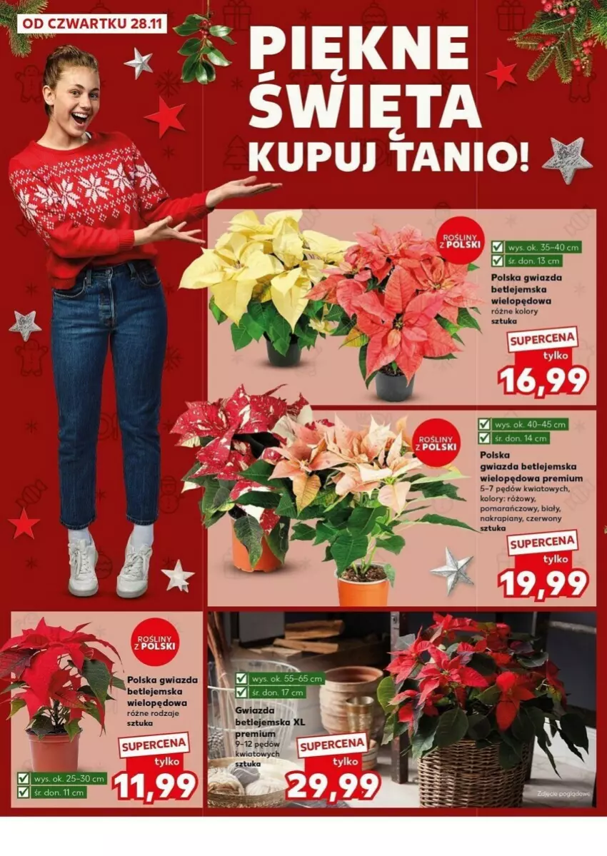 Gazetka promocyjna Kaufland - ważna 02.12 do 04.12.2024 - strona 4 - produkty: Gwiazda