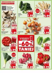 Gazetka promocyjna Kaufland - Gazetka - ważna od 04.12 do 04.12.2024 - strona 2 - produkty: Piec, Cebula, Warzywa, Sałat, Pomidory, Rzodkiewka, Boczniak
