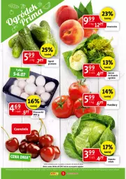 Gazetka promocyjna Prim Market - Gazetka - ważna od 06.07 do 06.07.2022 - strona 5 - produkty: Piec