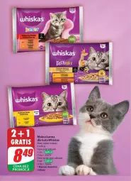 Gazetka promocyjna Dino - Gazetka 36 / 2024 - Gazetka - ważna od 10.09 do 10.09.2024 - strona 55 - produkty: Mokra karma, Whiskas, Mars