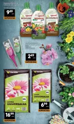 Gazetka promocyjna Delikatesy Centrum - Franczyza DC19 Czwartek - Gazetka - ważna od 13.05 do 13.05.2026 - strona 39 - produkty: Mus, Biohumus