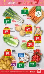Gazetka promocyjna PoloMarket - Gazetka pomocyjna - Gazetka - ważna od 31.10 do 31.10.2023 - strona 19 - produkty: Piec, Por, Pietruszka, Ziemniaki, Laur
