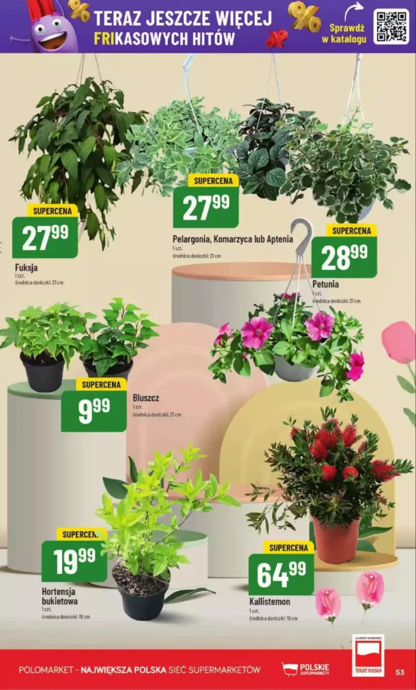 Gazetka promocyjna PoloMarket - ważna 14.05 do 20.05.2025 - strona 49 - produkty: Bukiet, Tera