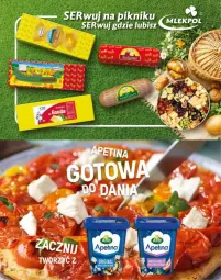 Gazetka promocyjna Delikatesy Centrum - Katalog LADA DC35-DC36-DC37 - Gazetka - ważna od 10.09 do 10.09.2025 - strona 20 - produkty: Ser