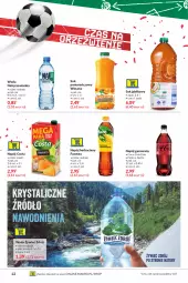 Gazetka promocyjna Makro - [Oferta specjalna] Wszystko na grill - Gazetka - ważna od 28.06 do 28.06.2021 - strona 12 - produkty: Sok pomarańczowy, Nałęczowianka, Sok, Coca-Cola, Sok jabłkowy, Napój gazowany, Fanta, Wosana, Woda, Sprite, Napój, Fa