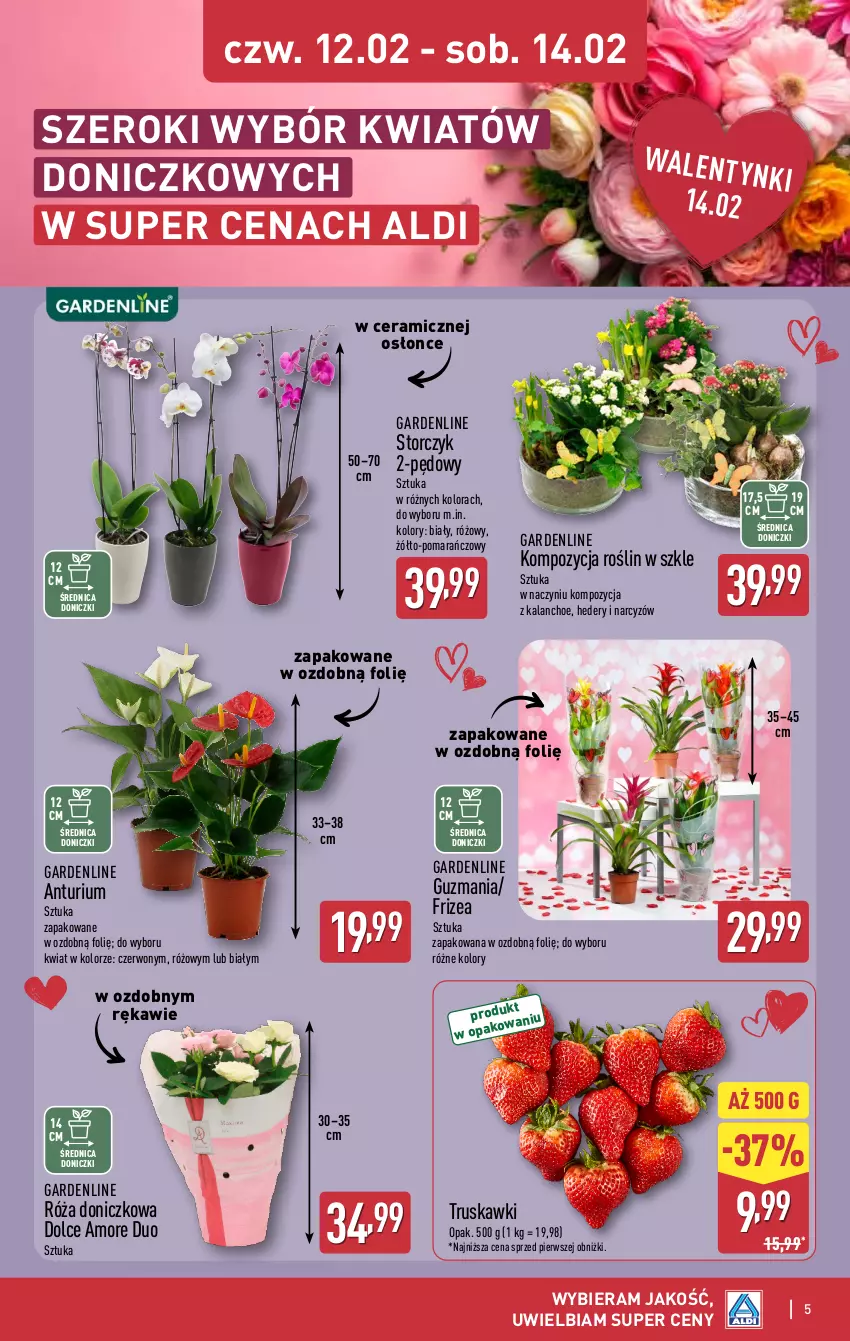 Gazetka promocyjna Aldi - Oferta na walentynki - ważna 09.02 do 14.02.2026 - strona 5 - produkty: Kalanchoe, Narcyz, Róża, Storczyk, Truskawki