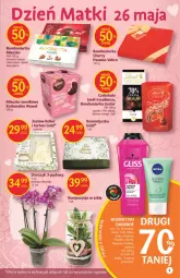 Gazetka promocyjna Delikatesy Centrum - Gazetka DC19 - Gazetka - ważna od 25.05 do 25.05.2022 - strona 5 - produkty: Królewski, Lindor, Kret, Wawel, Storczyk, Czekolada, Roller, Kakao, Lindt, Miecz, Kosmetyczka