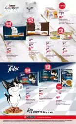 Gazetka promocyjna Rossmann - 18 listopada - Gazetka - ważna od 04.12 do 04.12.2025 - strona 18 - produkty: Por, Pur, Koc, Purina, Felix