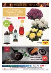 Gazetka promocyjna Carrefour - Gazetka Carrefour Zyskoteka - Gazetka - ważna od 07.11 do 07.11.2021 - strona 49 - produkty: Bols, Chryzantema, Bolsius, O nas, Znicz