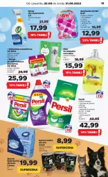 Gazetka promocyjna Netto - Artykuły spożywcze - Gazetka - ważna od 31.08 do 31.08.2022 - strona 15 - produkty: Cif, Coccolino, Spray do czyszczenia, Zawieszka do wc, Bref, Air Wick, Proszek do prania, Persil, Płyn do płukania, Odświeżacz powietrza, Kapsułki do prania