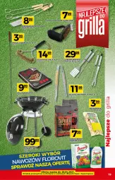 Gazetka promocyjna Topaz - Gazetka - Gazetka - ważna od 28.04 do 28.04.2021 - strona 19 - produkty: Grill