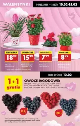 Gazetka promocyjna Intermarche - Gazetka - ważna od 12.02 do 12.02.2025 - strona 18 - produkty: Por, Borówka, Borówka amerykańska, Owoce