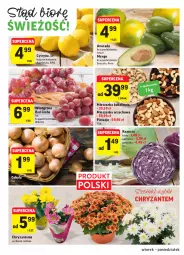 Gazetka promocyjna Intermarche - Gazetka - ważna od 25.10 do 25.10.2021 - strona 10 - produkty: Pistacje, Cebula, Chryzantema, Avocado, Mieszanka orzechowa, Wino, Mango, Mieszanka bakaliowa