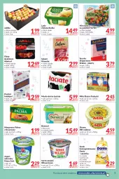 Gazetka promocyjna Makro - [Oferta promocyjna] Dostawy - Gazetka - ważna od 03.05 do 03.05.2022 - strona 3 - produkty: Serek wiejski, Jogurt naturalny, Krakus, Warzywa, Ser, Por, Salami, Benecol, Zott, Jogurt, Pasztet, Serek homogenizowany, Palma, Lody, Szynka, Serek, Margaryna, Sport, Zielona Budka, Danio, Słynne, Słynne MR Roślinne, Masło, Jabłka, Hortex