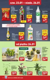 Gazetka promocyjna Aldi - Pełna oferta - Gazetka - ważna od 26.01 do 26.01.2025 - strona 28 - produkty: Piwa, Piwo, Ludwik, Ketchup, Cheetos, Sok, Gra, Hiacynt, Do mycia naczyń, Płyn do mycia naczyń, Chrupki, Corona Extra, Tymbark, Narcyz, Napój niegazowany, Płyn do mycia, Sprite, Napój