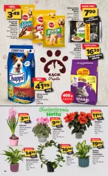 Gazetka promocyjna Netto - Oferta - Gazetka - ważna od 31.01 do 31.01.2021 - strona 16 - produkty: Gin, Gra, Hiacynt, Cyklamen, Hibiskus, Whiskas, Chappi, Sheba, Pedigree, Przysmak dla psa