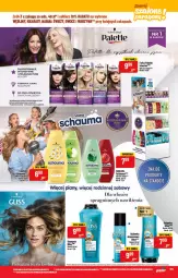 Gazetka promocyjna PoloMarket - Gazetka pomocyjna - Gazetka - ważna od 22.03 do 22.03.2022 - strona 55 - produkty: Palette, Warzywa, Rum, Schauma, Owoce, Fa