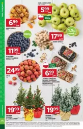 Gazetka promocyjna Stokrotka - Gazetka - ważna od 25.12 do 25.12.2024 - strona 48 - produkty: Warzywa, Rum, Rama, Gruszki, Jabłka